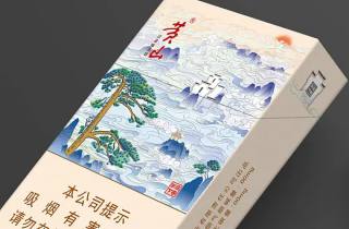 苏烟6901028 303880_权威汇总苏烟智控创新引领未来